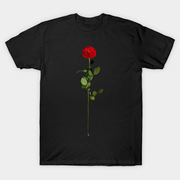 Aesthetic red rose T-Shirt by DressingDown